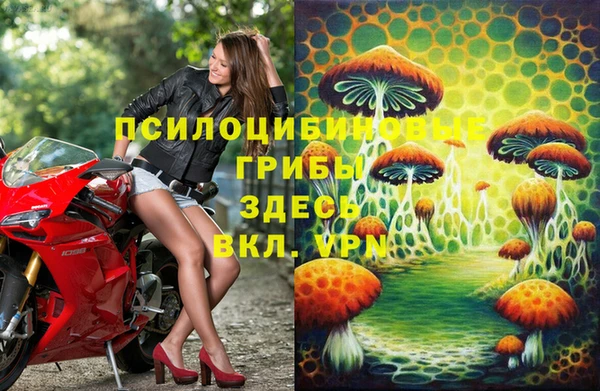 кокс Гусев