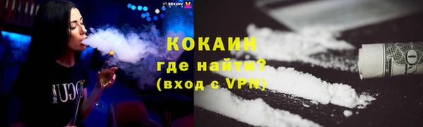 кокс Гусев