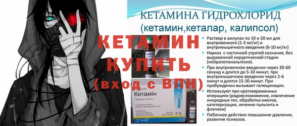 сатива Гусиноозёрск