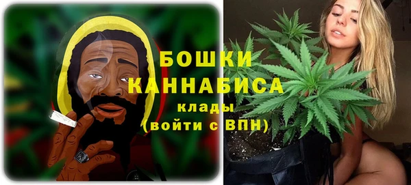 сатива Гусиноозёрск