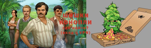 сатива Гусиноозёрск